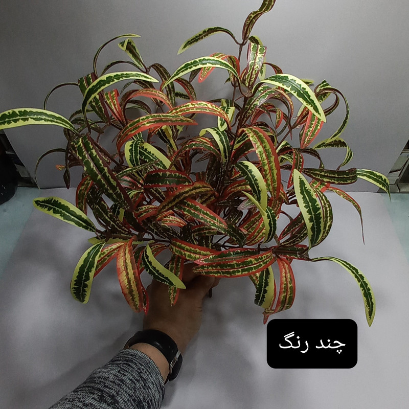 گل مصنوعی مدل برگ آکوبا کد PA.1062 گل مصنوعی مدل برگ آکوبا کد PA.1062