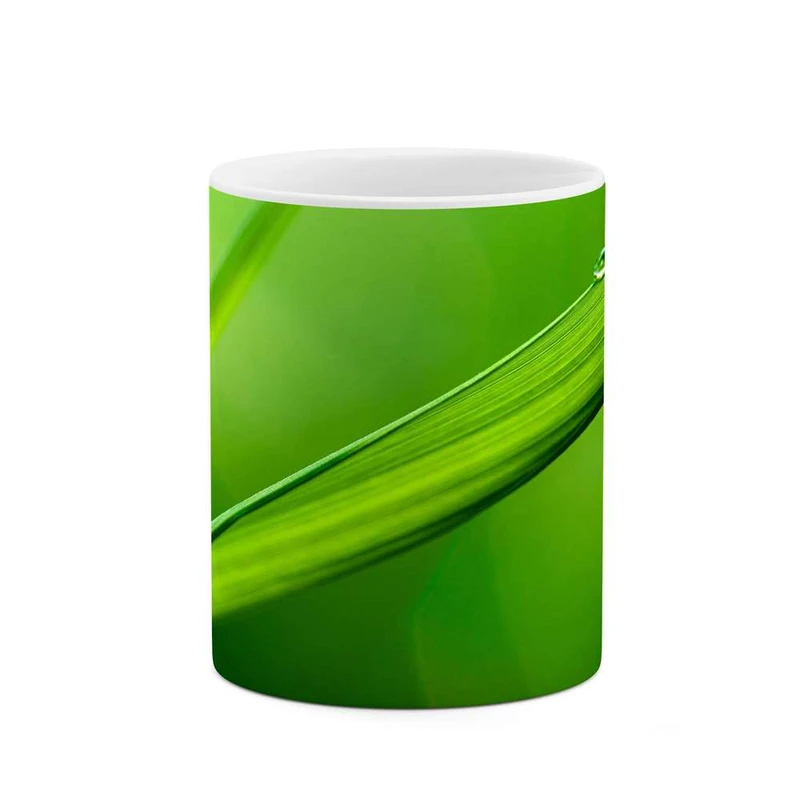 ماگ کاکتی مدل فانتزی کد mgh15612