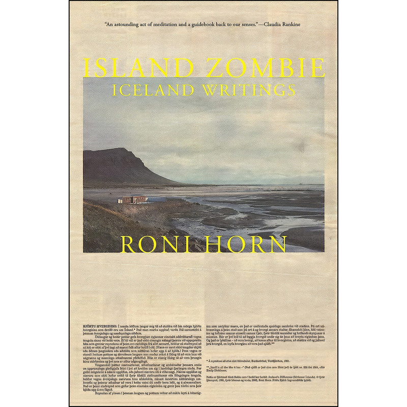 کتاب Island Zombie اثر Roni Horn انتشارات Princeton University Press
