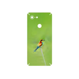 MAHOOT European bee-eater Cover Sticker for Google Pixel 3