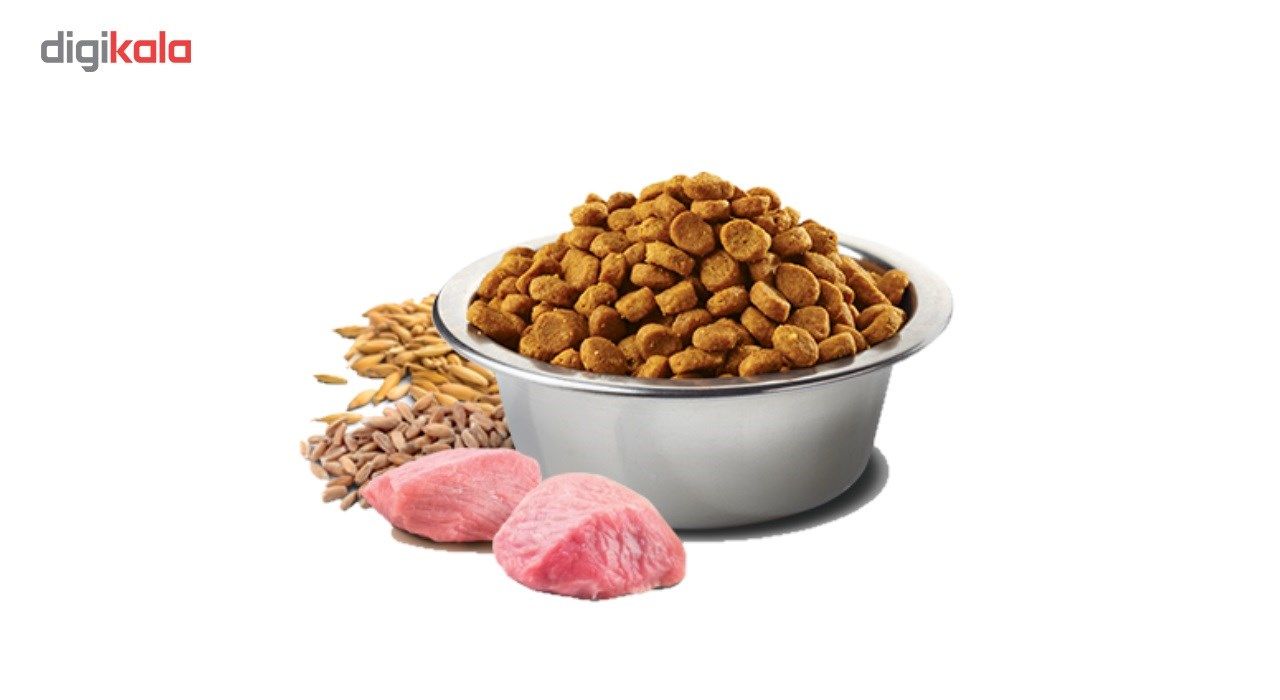 غذای خشک گربه فارمینا مدل Adult Cat lamb And Blueberry وزن 0.3 کیلوگرم main 1 1