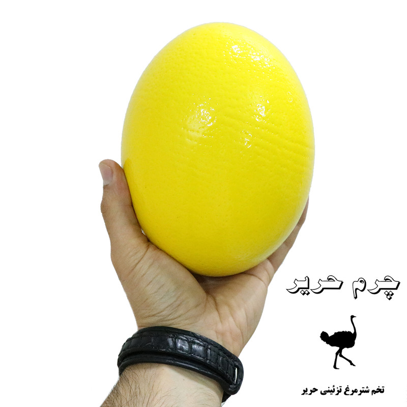 تخم شترمرغ تزیینی چرم حریر مدل Z1
