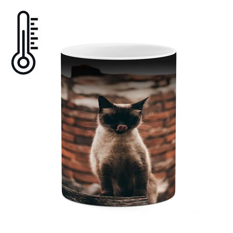 ماگ حرارتی کاکتی مدل گربه کد mgh17130