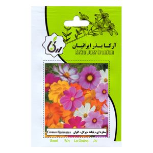 بذر گل ستاره ای پابلند پرگل الوان آرکا بذر ایرانیان کد 213-ARK