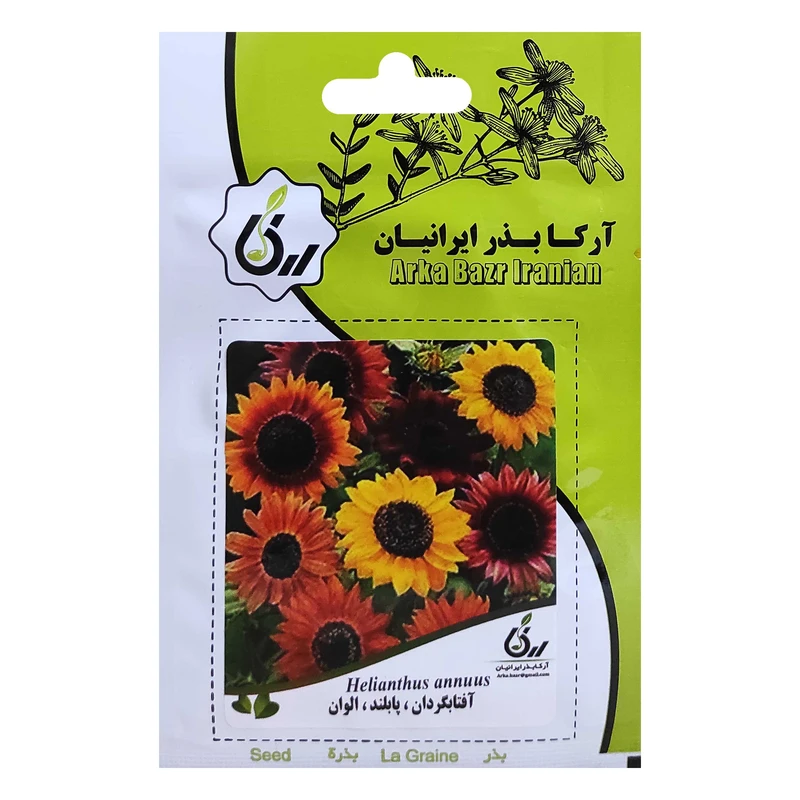 بذر گل آفتابگردان پابلند الوان آرکا بذر ایرانیان کد ARK-051