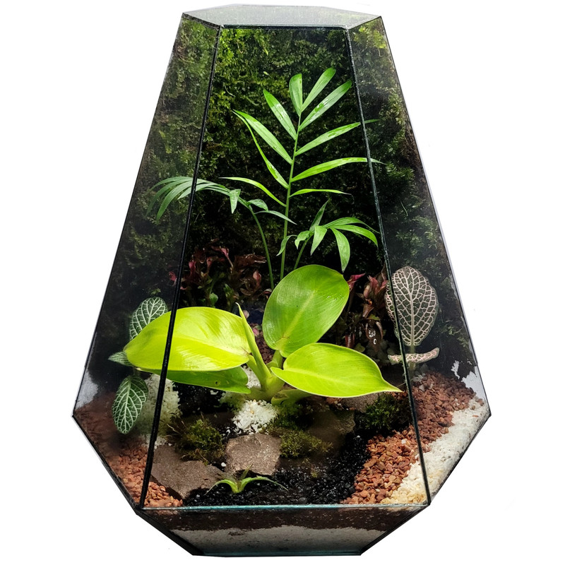 تراریوم ترارتوس مدل 04