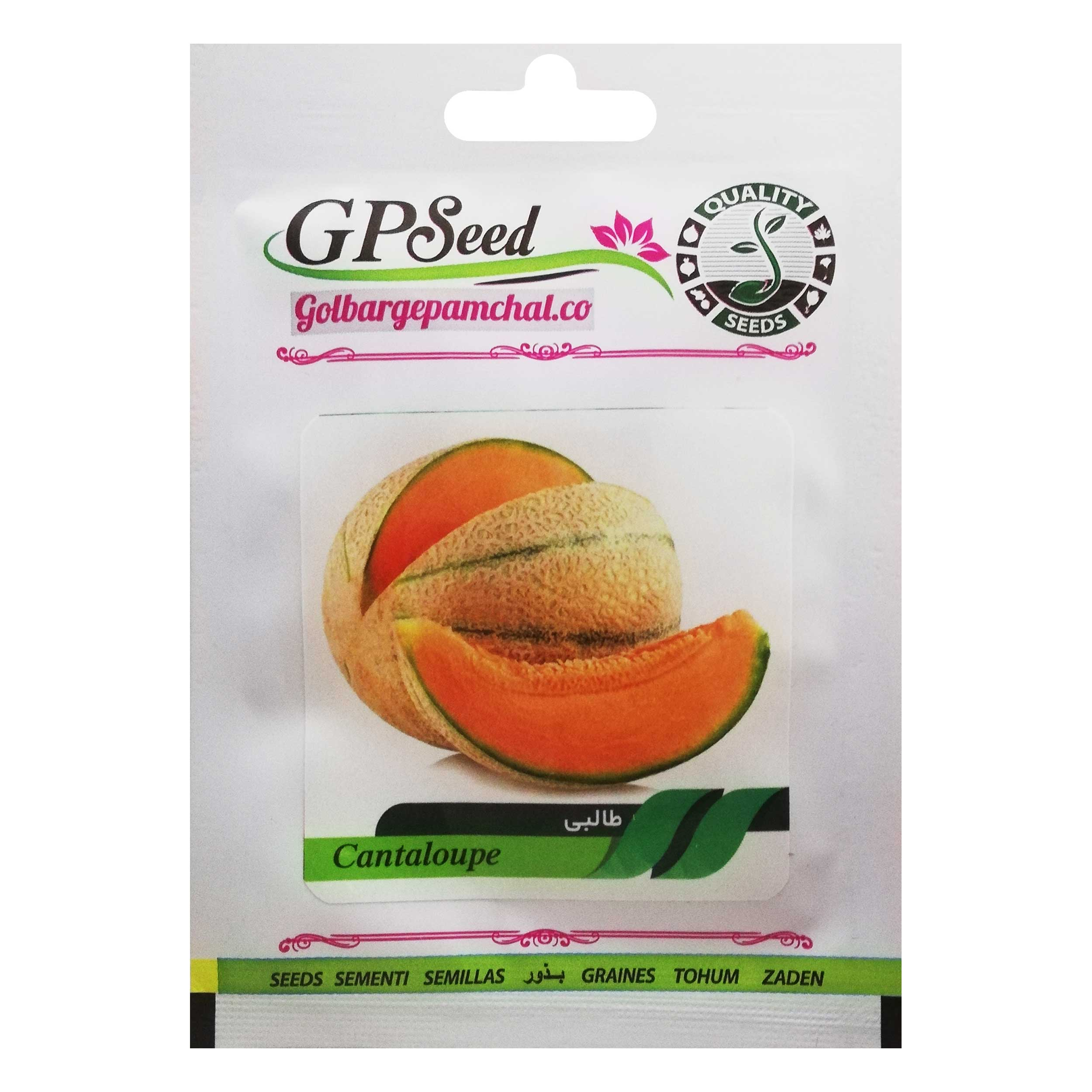 بذر طالبی گلبرگ پامچال کد GPF-119