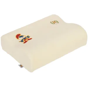Hooshmand Baby Pillow