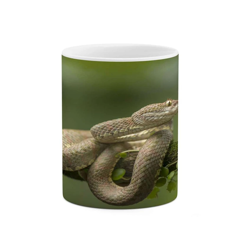 ماگ کاکتی مدل مار کد mgh14480