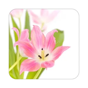 زیر لیوانی کاکتی طرح گل مدل mp16776