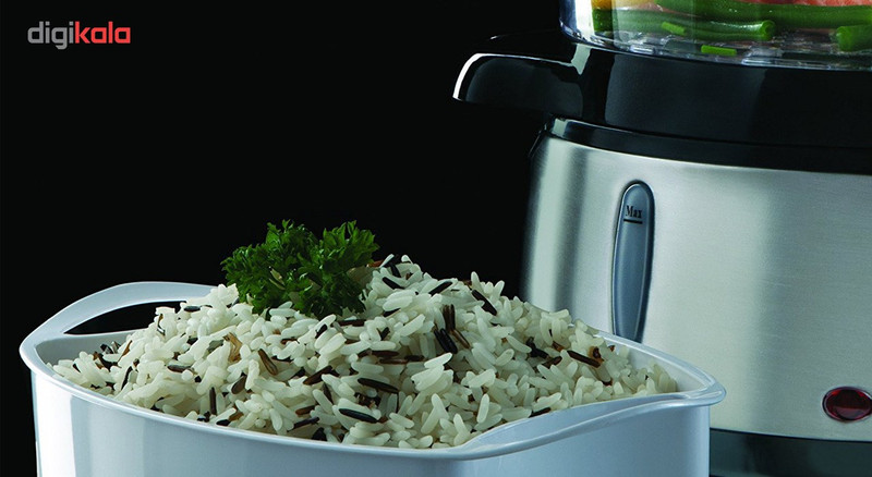 بخار پز راسل هابز مدل 19270