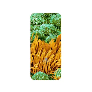 MAHOOT Atom Universe 6 Cover Sticker for Realme C11 2021