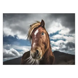 Wensoni Coquettish Horse Chassis Size 50 x 70 Cm