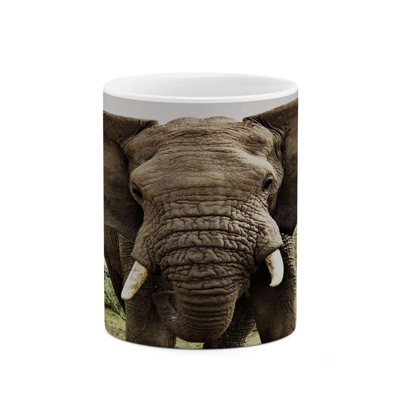 ماگ کاکتی مدل فیل کد mgh15905