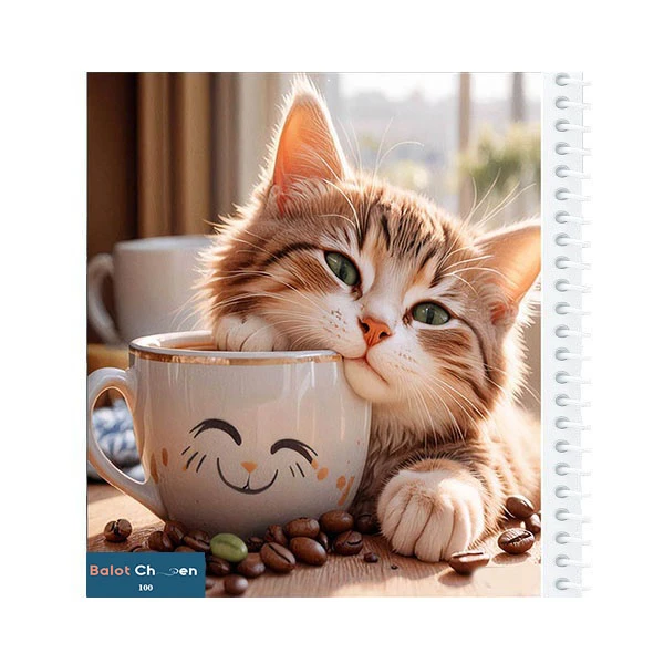 دفتر نقاشی 100 برگ بلوط چین طرح فانتزی گربه ملوس کد B505