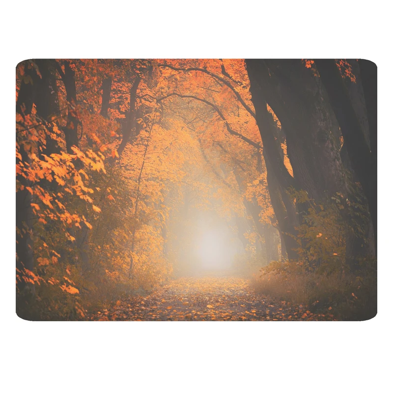 ماوس پد مدل منظره کد 417 BBB