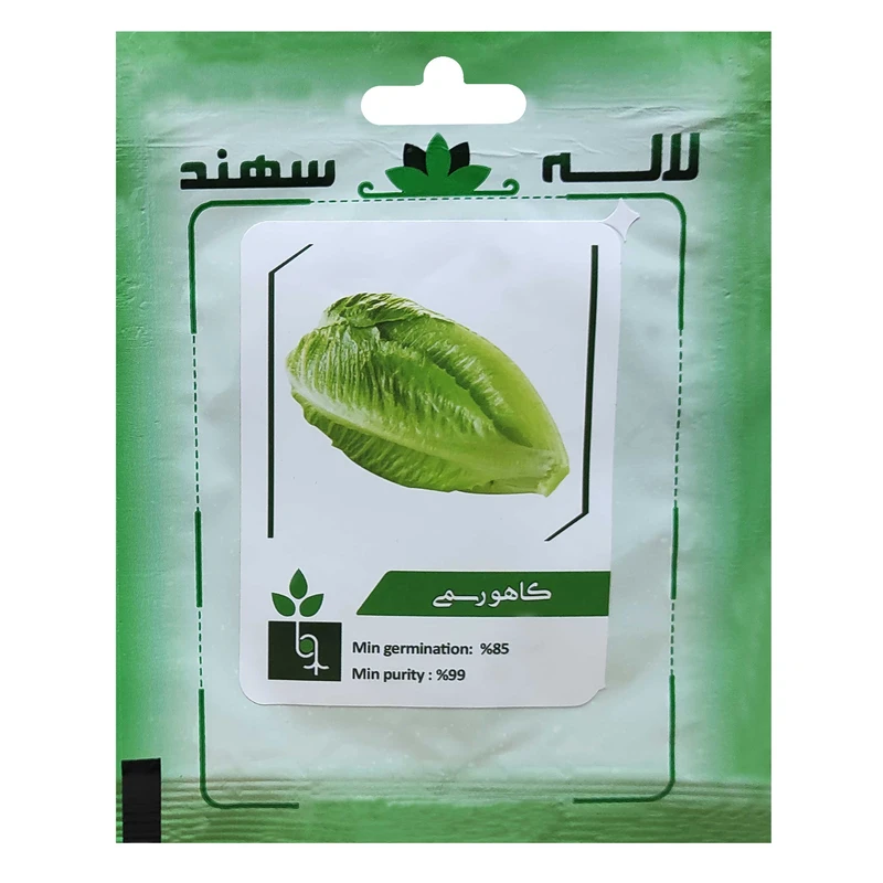 بذر کاهو رسمی لاله سهند کد LSP-059