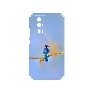 MAHOOT Cyanocitta cristata Cover Sticker for Xiaomi Poco F5 Pro