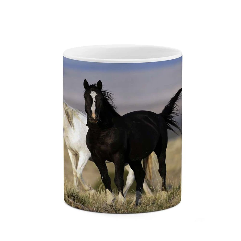 ماگ کاکتی مدل اسب کد mgh24223