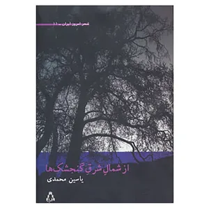 کتاب شعر امروز ایران11 اثر یاسین محمدی