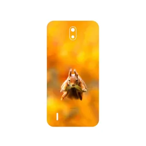 MAHOOT Squirrel Cover Sticker for Nokia C1