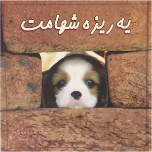 کتاب یه ریزه شهامت اثر برادلی تریور گریو انتشارات مهتاب