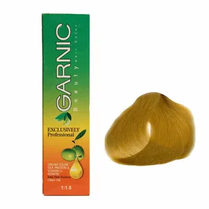 کیت رنگ موی گارنیک سری بلوند عسلی شماره  91/2.5