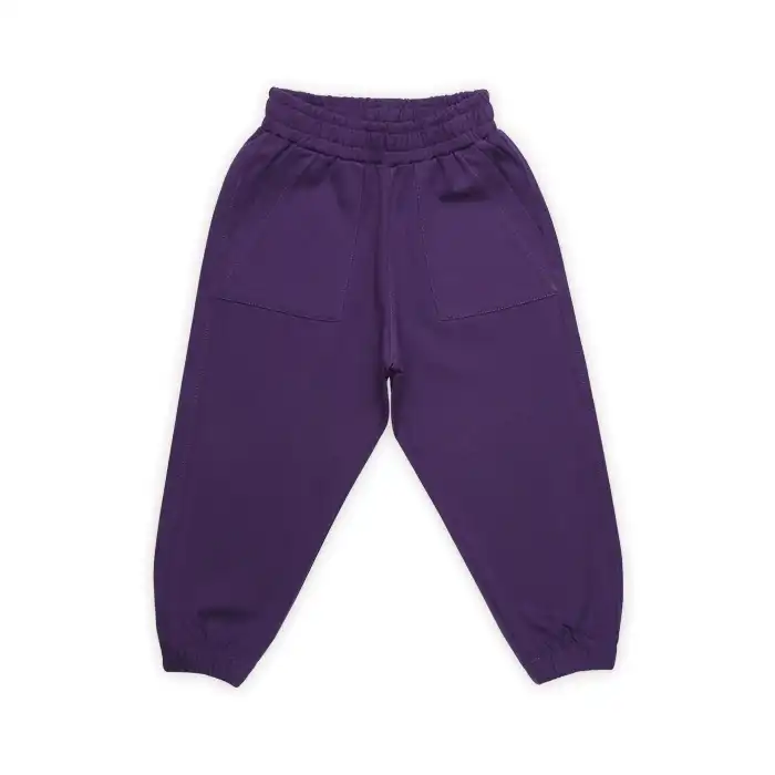 ست سویشرت و شلوار دخترانه فیورلا مدل 1- 33512 رنگ بنفش