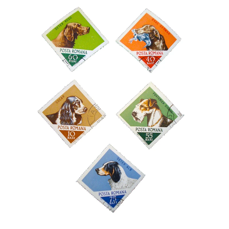 تمبر یادگاری طرح طبیعت مدل سگ کد dog-522 مجموعه 5 عددی