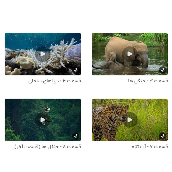 عکس شماره 8 : مستند سیاره ما our planet اثر آلستر فوردگل نشر لیمو استور