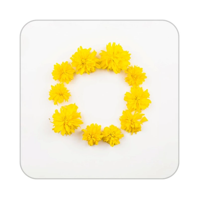 زیر لیوانی کاکتی طرح گل مدل mp19092