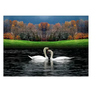 Wensoni In Love Swans Chassis 40 x 30