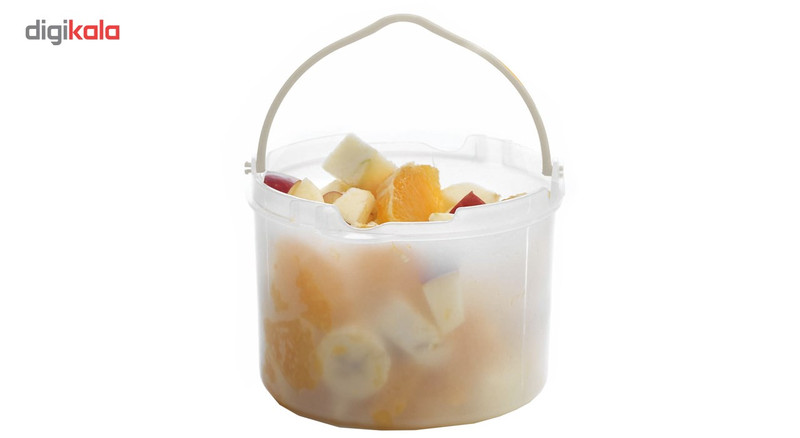 غذاساز جین مدل 10501