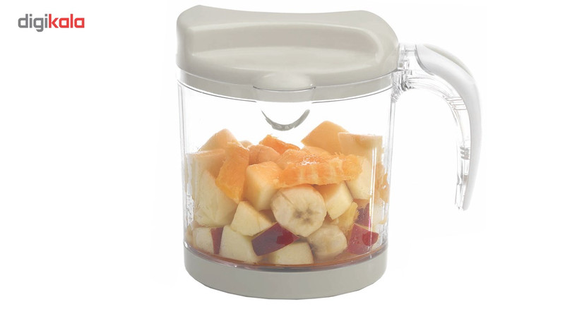 غذاساز جین مدل 10501