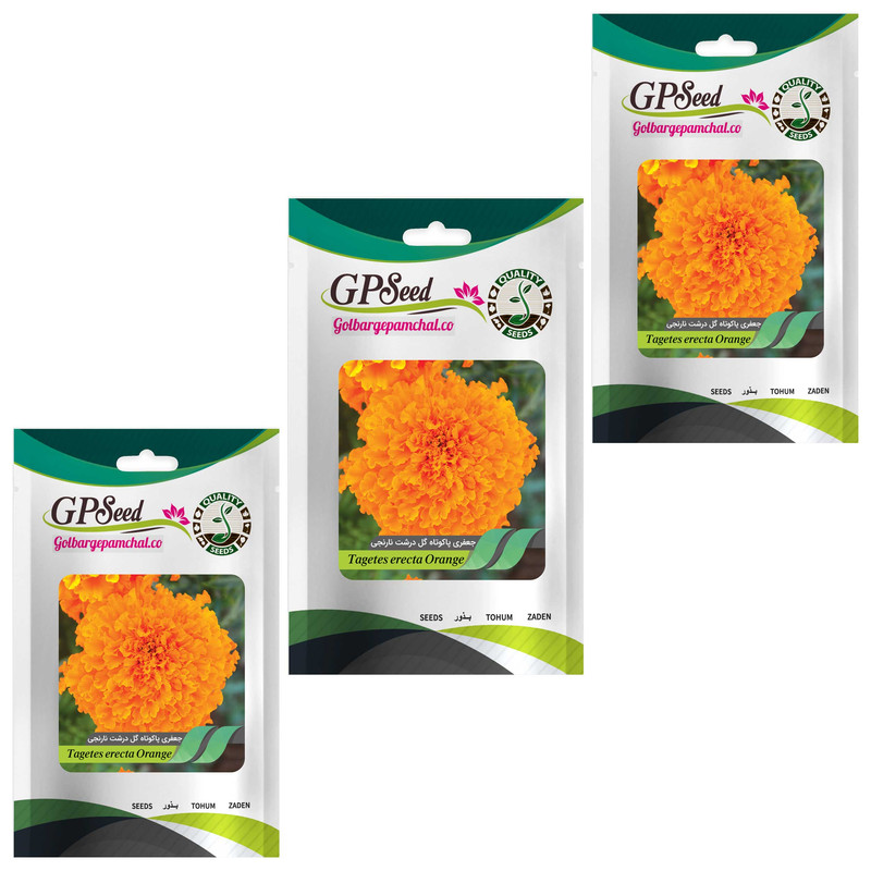 بذر جعفری پاکوتاه گلدرشت نارنجی گلبرگ پامچال کد GPF-039 مجموعه 3 عددی