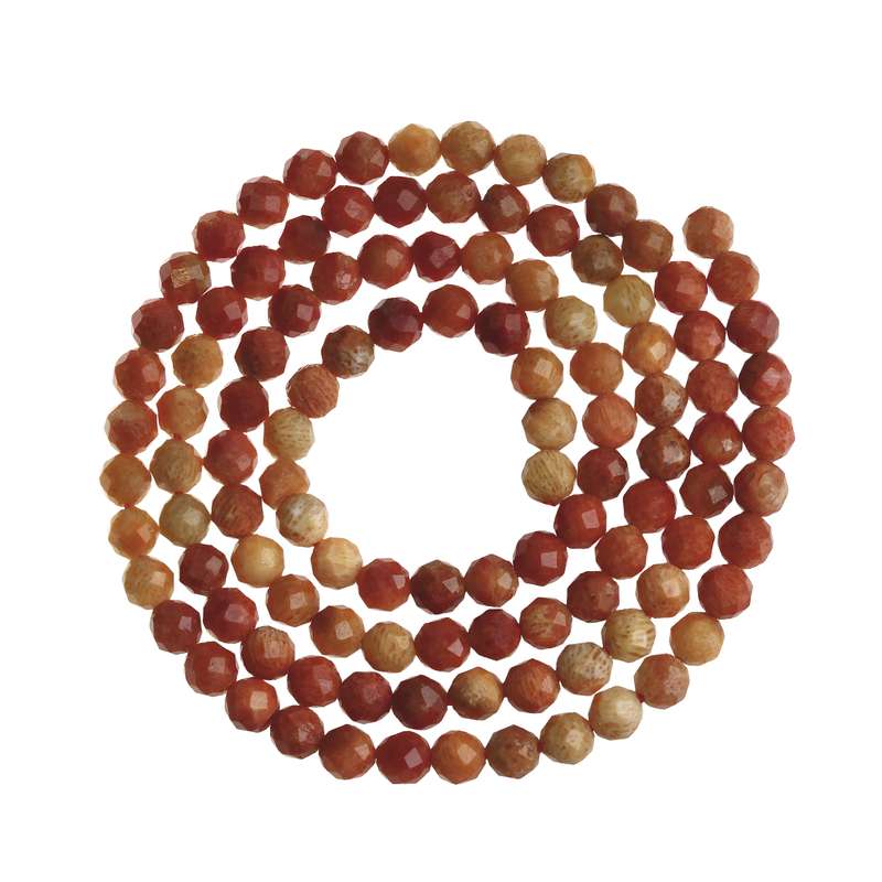 ریسه سنگ مرجان اقلیمه کد B341 