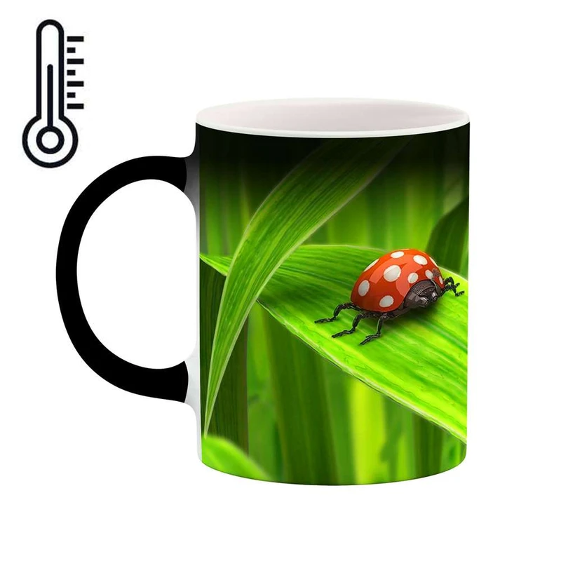 ماگ حرارتی کاکتی مدل کفشدوزک کد mgh12283