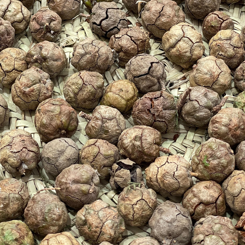 میوه تزیینی مدل کاج بسته 36 عددی