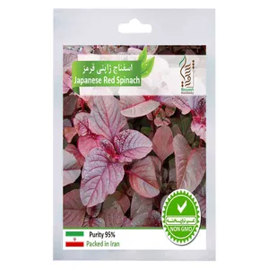 بذر اسفناج ژاپنی قرمز رویش مدل 4 Sds