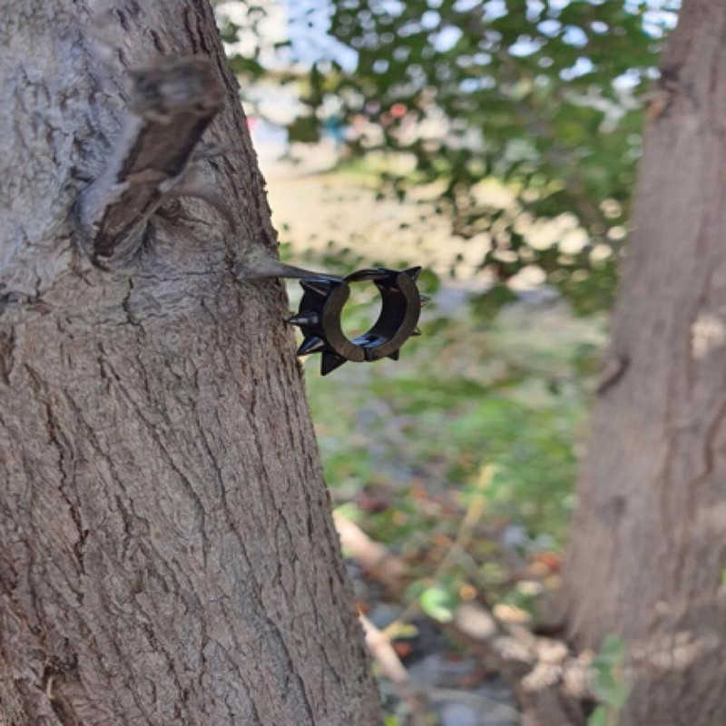 پیرسینگ گوش زنانه پایتخت مدل PS255