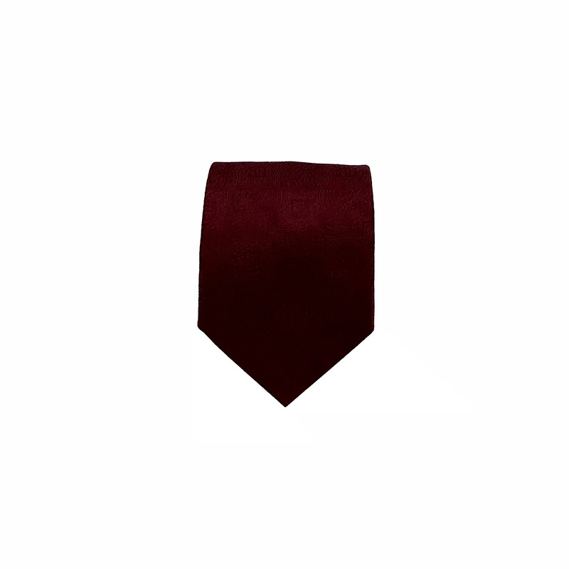 ست کراوات و دستمال جیب مردانه آریوان مدل PT4403