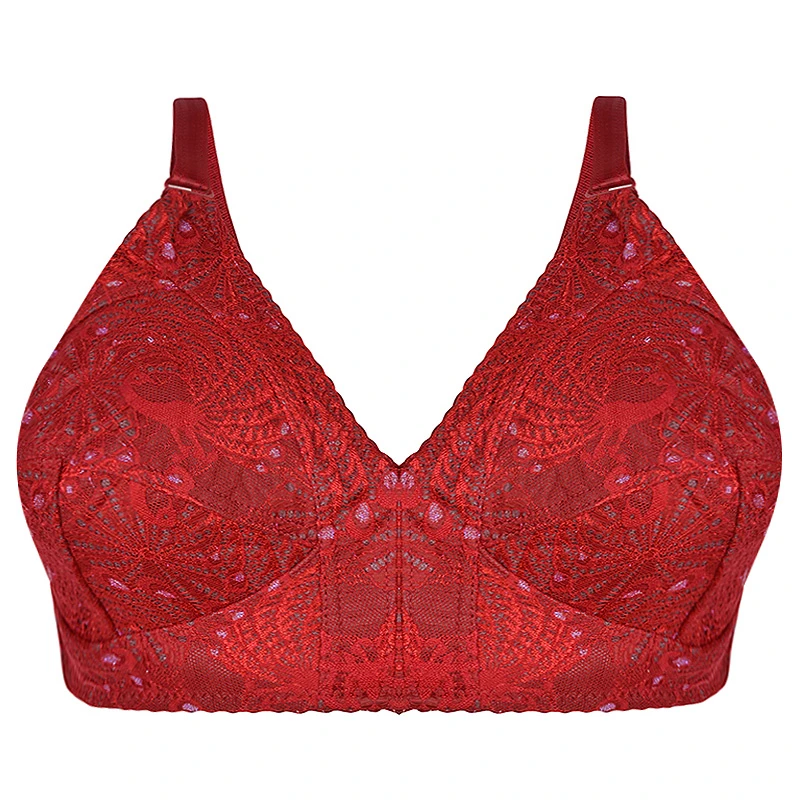 سوتین زنانه دکسونری مدل 125005018 دانتل