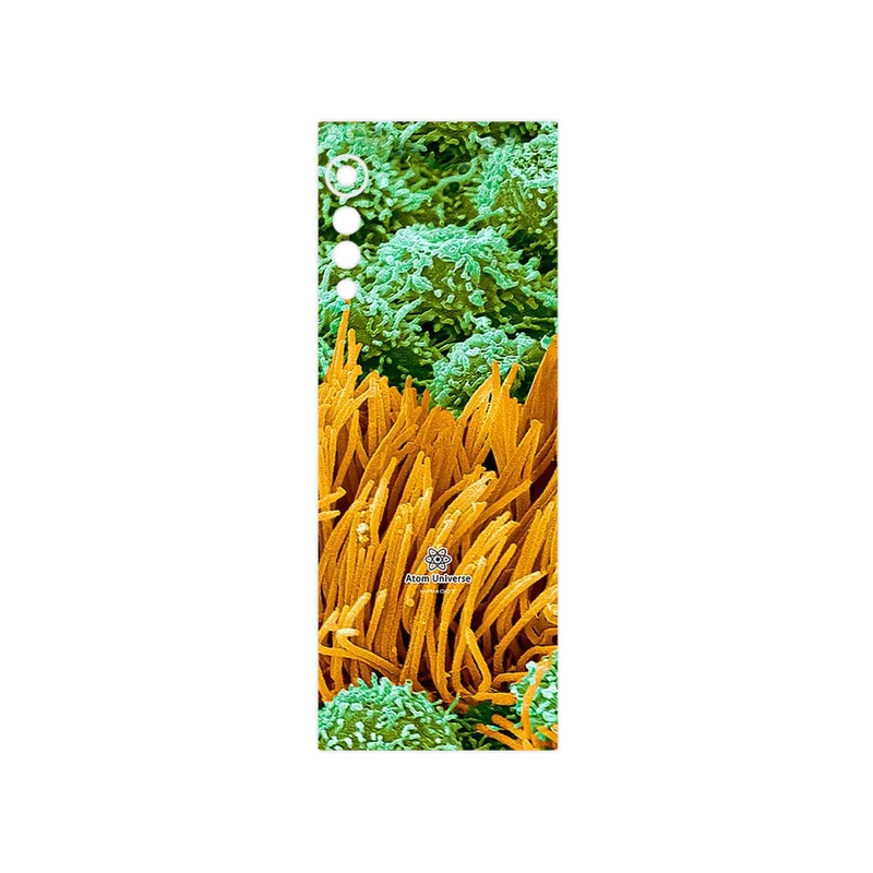 برچسب پوششی ماهوت مدل Atom Universe 6 مناسب برای گوشی موبایل ال جی Velvet 5G