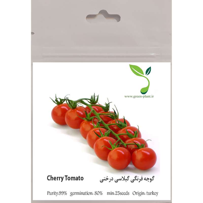 بذر گوجه فرنگی گیلاسی درختی  مدل 2021
