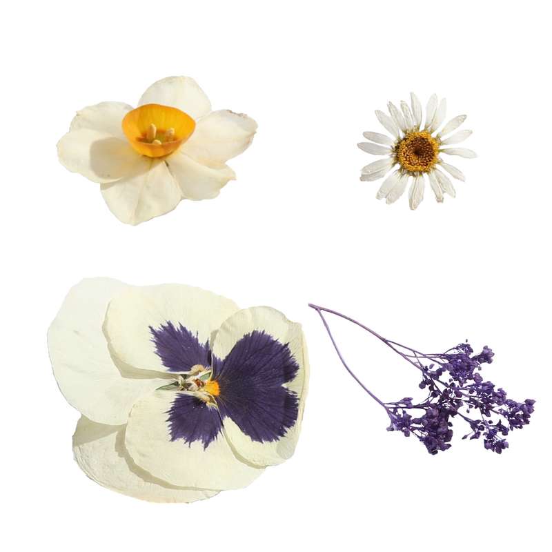 گل خشک مدل رزین اپوکسی ترکیبی مجموعه 4 عددی