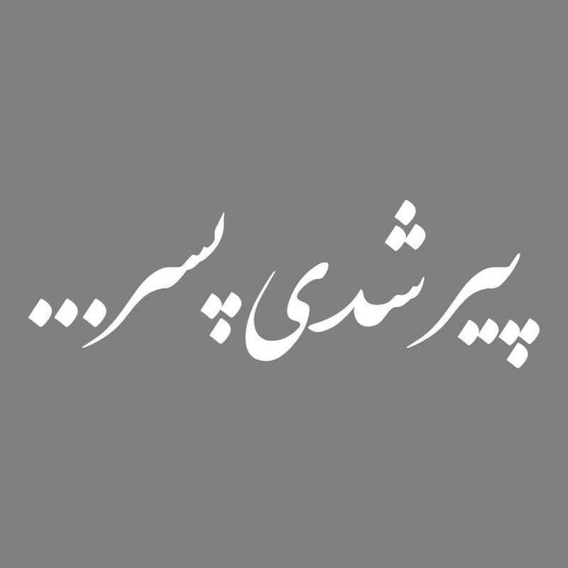 برچسب بدنه خودرو طرح پیر شدی پسر کد MT-W493