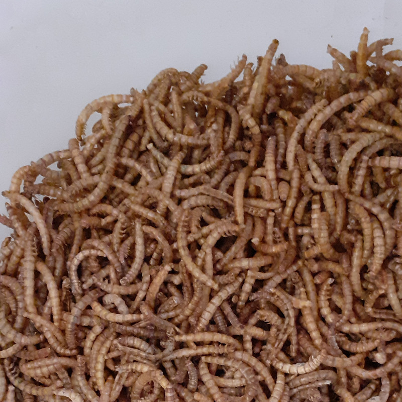 غذای تشویقی همستر ولکانو میلورم کد MWH60 وزن 60 گرم بسته 2 عددی