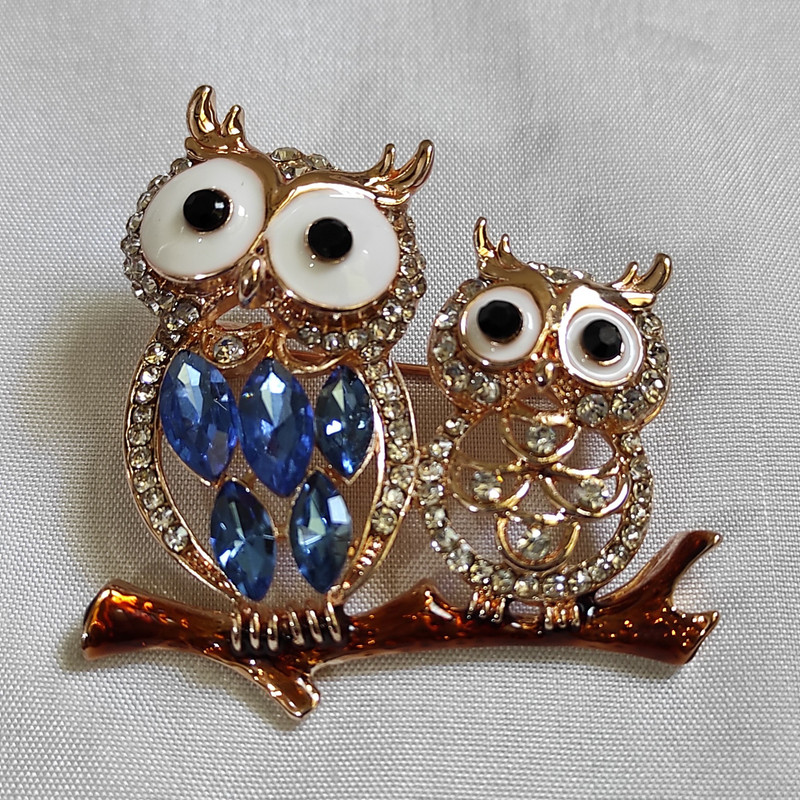 سنجاق سینه زنانه مدل جغد سنجاق سینه زنانه مدل جغد