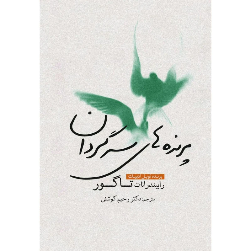 کتاب پرنده‌های سرگردان اثر رابیندرانات تاگور انتشارات سبزان