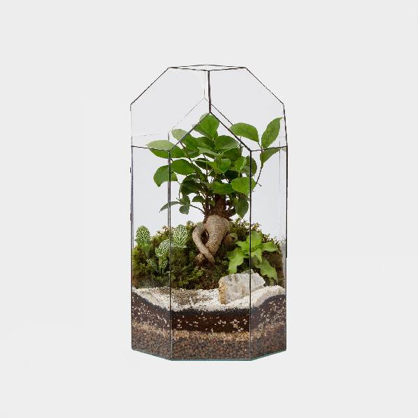 تراریوم مدل آرمیس کد g-tr-sol-133-22